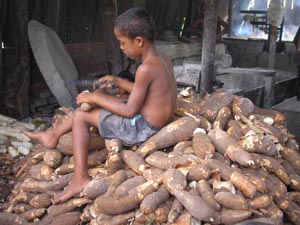 Crianças trabalhando em casas de farinha