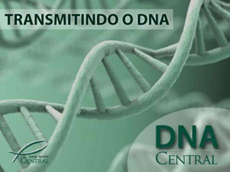 Design criado pelo departamento de comunicação da IBC 
